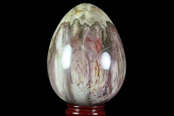 Colorful, Polished Petrified Wood Egg - Triassic #74744